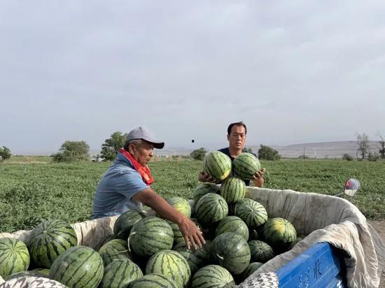 吃瓜南浦,揭秘网络热点的背后故事