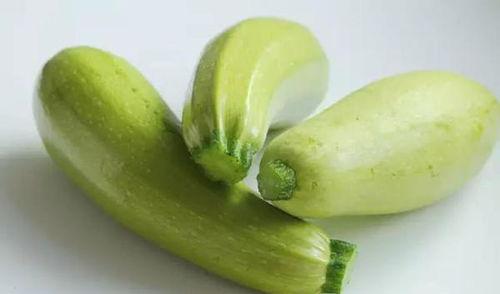 茭瓜可以咋个吃,探索美味与营养的完美结合