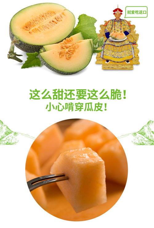 吃蜜瓜群众,品味甜蜜，共享欢乐时光