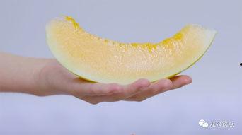 吃蜜瓜群众,品味甜蜜，共享欢乐时光