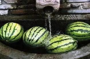 怎么优雅吃瓜,如何优雅地吃瓜不踩雷