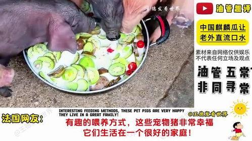 老外吃麒麟瓜视频播放