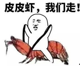 吃瓜套路小说,揭开娱乐圈的神秘面纱