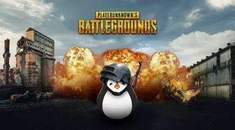 瓜太郎吃鸡,瓜太郎的欢乐吃鸡之旅