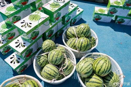 聊天吃瓜搭子,与吃瓜搭子一起探寻明星幕后故事