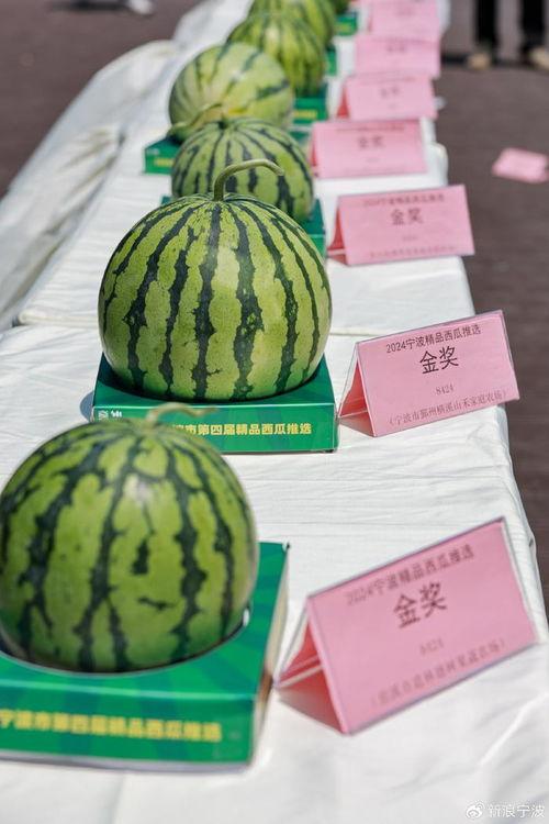 聊天吃瓜搭子,与吃瓜搭子一起探寻明星幕后故事