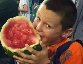 奇葩吃瓜姿势,揭秘那些奇葩的吃瓜姿势