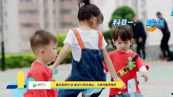 吃瓜自备板凳,围观娱乐圈风云变幻