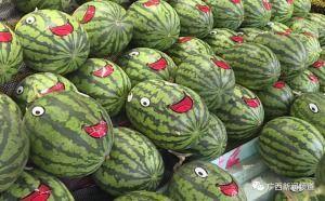 看花吃瓜,探寻美食与美景的完美邂逅