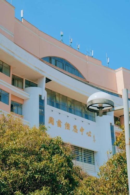 太湖学院吃瓜合集,校园生活趣味瞬间大盘点