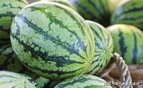 大瓜能隔夜吃吗,安全与营养的权衡