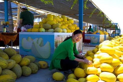瓜州吃瓜事件,一场引发热议的网络狂欢