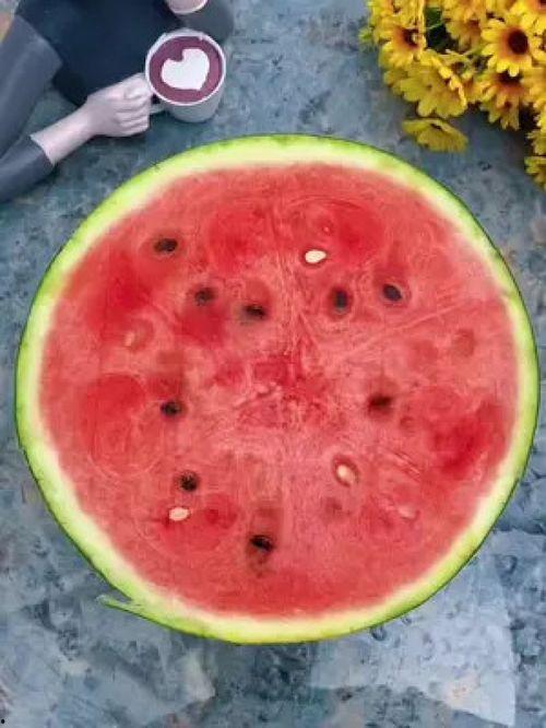 吃瓜神器304,轻松解锁美食新境界