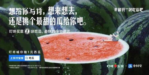 南通大学吃瓜文案,吃瓜群众眼中的校园美食盛宴