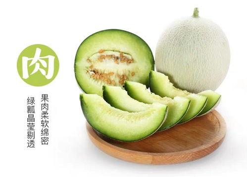 网纹瓜什么时间吃,网纹瓜最佳食用时间揭秘