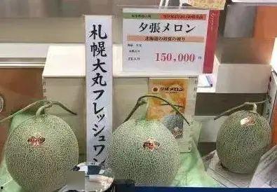 网纹瓜什么时间吃,网纹瓜最佳食用时间揭秘