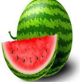 吃贝贝瓜会胖嘛,吃贝贝瓜真的会发胖吗？”