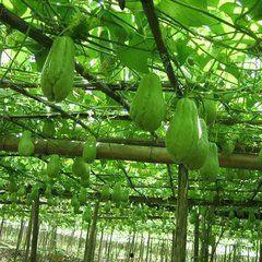 台院吃瓜,揭秘校园热点事件背后的真相