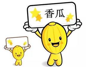 日常吃瓜的瓜娃子,揭秘吃瓜群众的欢乐生活