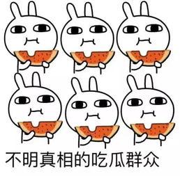 回家吃瓜啦,揭秘家庭温馨时光背后的甜蜜故事