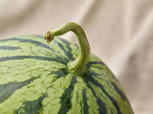 吃瓜上海金融圈,吃瓜群众眼中的风云变幻