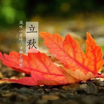 立秋吃瓜周深,周深演绎瓜果飘香时光