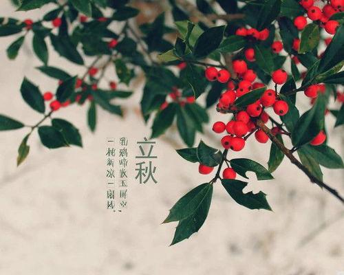 立秋吃瓜周深,周深演绎瓜果飘香时光