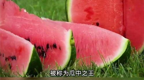 吃瓜科普西瓜,吃瓜群众的科普之旅