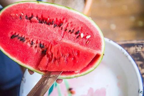 吃西瓜杀瓜,一场关于生存与毁灭的生死较量