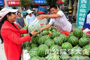 梦见到瓜园吃瓜好不好,吃瓜的吉兆解析