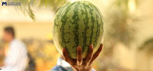 梦回吃瓜,揭秘娱乐圈背后的秘密与真相