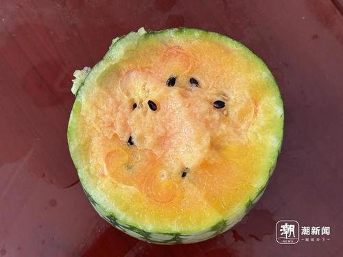 梦回吃瓜,揭秘娱乐圈背后的秘密与真相