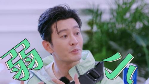 吃瓜小炜,揭秘娱乐圈那些不为人知的幕后故事