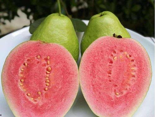 拉瓜吃不吃瓤,揭秘拉瓜瓤的食用之谜
