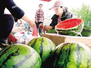 近期兰州吃瓜事件,一场网络热议背后的真相与反思
