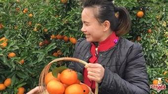 巧妇9妹吃长毛瓜,挑战极限的味蕾冒险