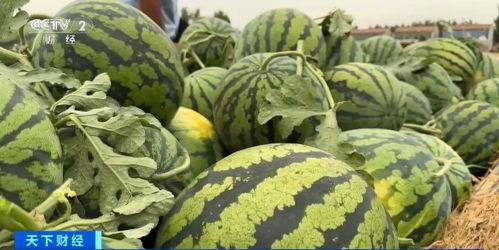 长治上党吃瓜,瓜果飘香，品味民俗风情