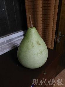 天津吃瓜中毒,意外中毒背后的食品安全警示