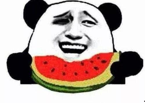 瓜哥吃瓜开箱,揭秘网红美食背后的秘密