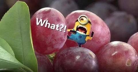 吃瓜不吐葡萄皮抽奖视频,惊喜连连等你来抽！