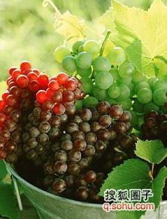 吃瓜不吐葡萄皮抽奖视频,惊喜连连等你来抽！