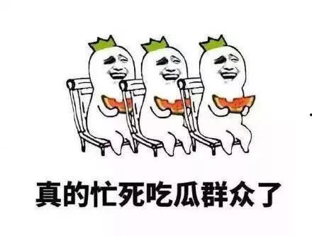 吃瓜群众之小小,吃瓜群众视角下的娱乐圈风云录