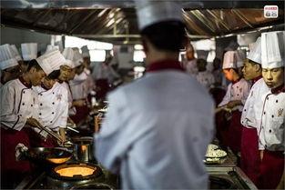 蓝翔技校吃瓜,揭秘职业教育界的“网红”现象