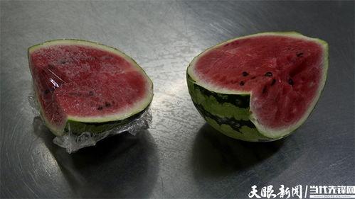 数码吃瓜菌,揭秘科技圈那些鲜为人知的幕后故事