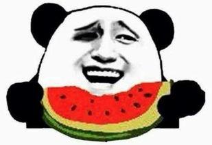 吃瓜群众总裁是谁,他是谁？背后的故事与影响力