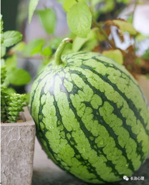 被读心吃瓜,读心术背后的惊人真相，吃瓜群众如何应对心理操控？