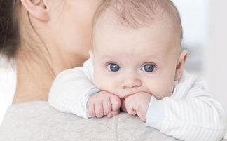 哺乳期吃福寿瓜,福寿瓜的营养与食用指南