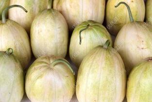 哺乳期吃福寿瓜,福寿瓜的营养与食用指南