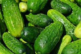 梦见吃生吃瓜,揭秘梦中吃生瓜的神秘寓意