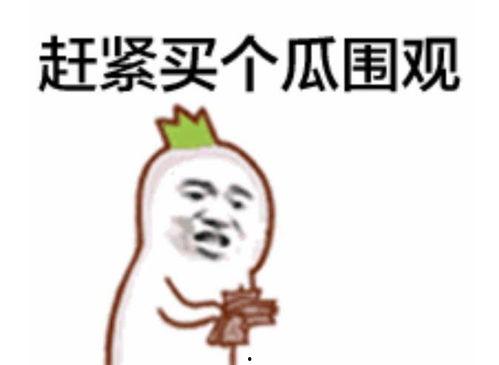 吃瓜群众旅行结束视频,跟随吃瓜群众镜头回顾精彩瞬间